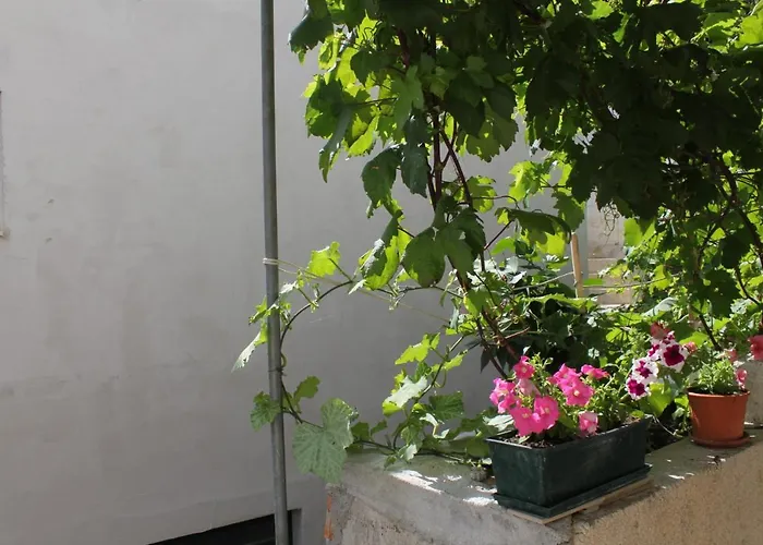 Apartamento With A Parking Space Brela, Makarska - 6906 Brela